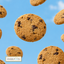 Angelfood Crispy Cookies Chocolate Chip  120g